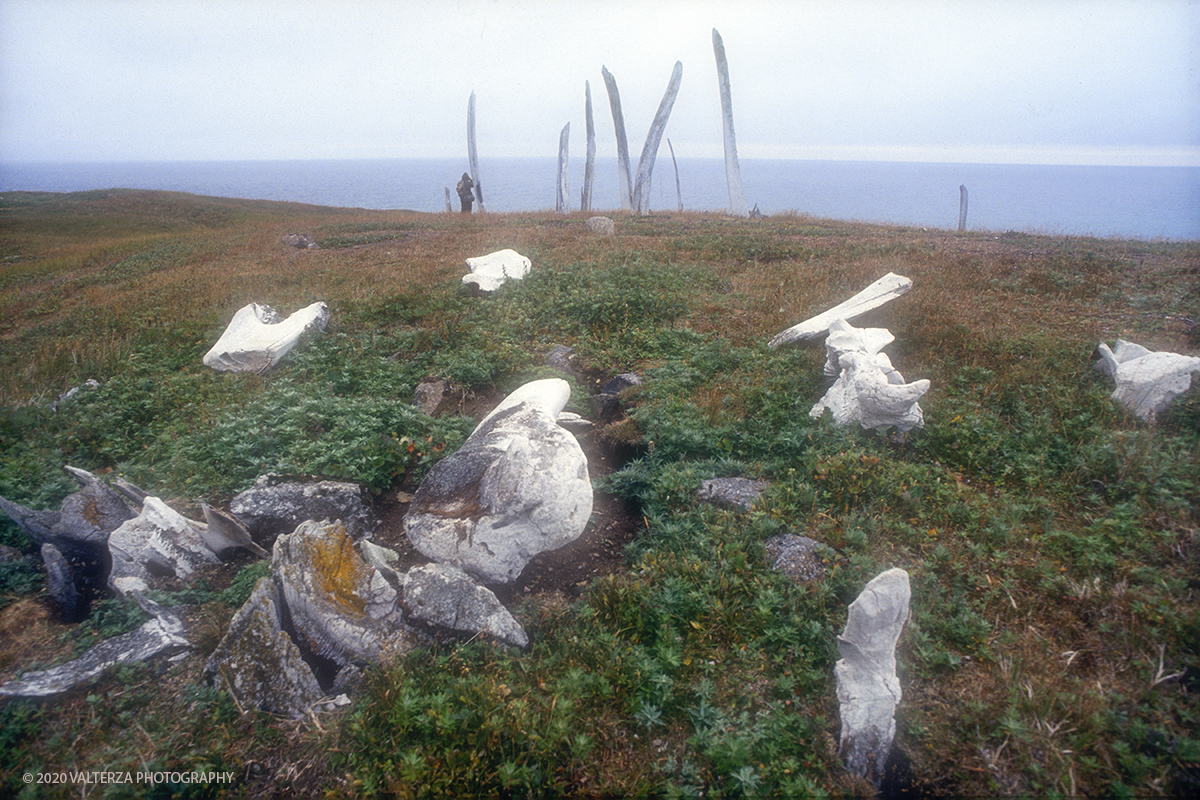 42 SIBERIA.jpg - Luglio/Agosto 1992. Siberia, terra dei Chukchi. Nell'oceano artico  125 Km a nord-est della penisola dei Chukchi (Siberia) c'Ã¨ l'isola di Wrangel, essa ospita piÃ¹ del doppio di specie vegetali (417) di qualsiasi territorio artico a paritÃ  di superficie nonchÃ¨ 30 specie diverse di uccelli oltre ad orsi polari, foche e trichechi ; per questo motivo   Ã¨ stata proclamata patrimonio dell'umanitÃ  dall'UNESCO. Nella foto isola di Arakamchechen, antica tomba nella tundra dell'isola le costole di balena poste in verticale son il simbolo tradizionale delle sepolture eschimo, antichi abitanti dell'isola prima dei Chukchi.